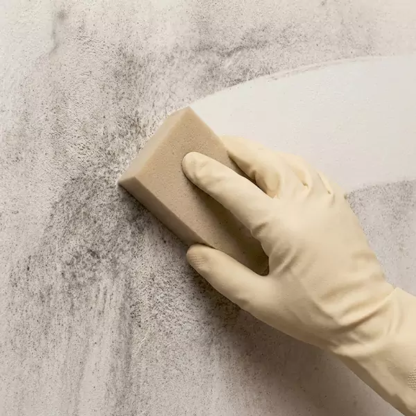 Smoke Cleaning in Watsonville, CA 