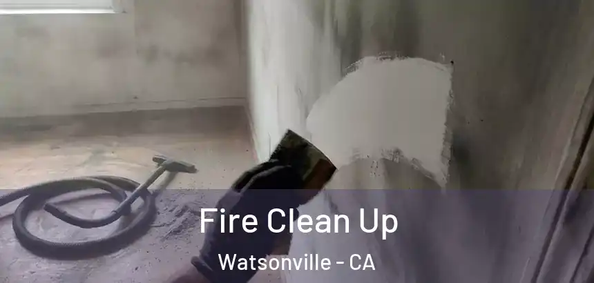  Fire Clean Up Watsonville - CA