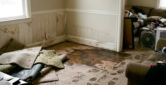 Why Choose Watsonville Water Damage Experts For Water Damage Restoration Services in Watsonville, CA?