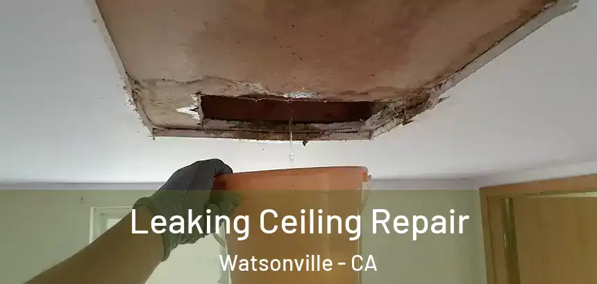  Leaking Ceiling Repair Watsonville - CA