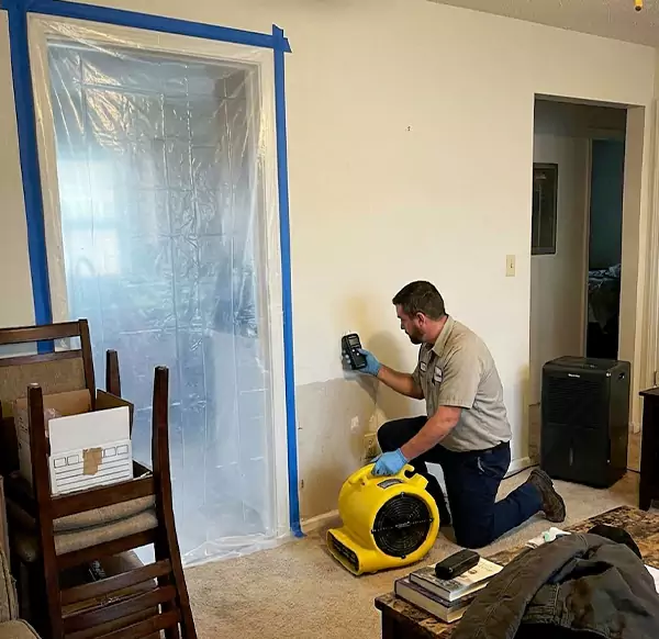 Why Homeowners & Businesses Choose Watsonville Water Damage Experts for Water Remediation in Watsonville, CA?