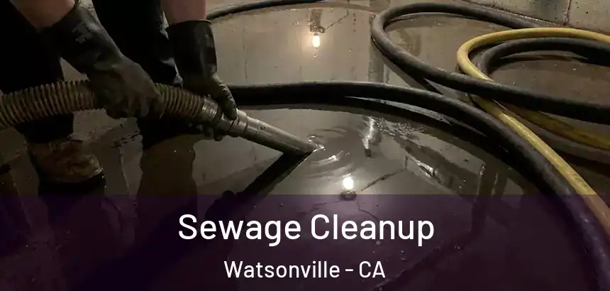  Sewage Cleanup Watsonville - CA